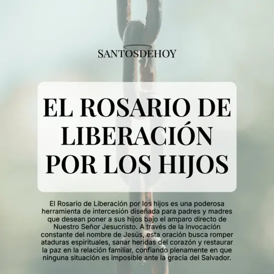 Imágen de El Rosario de Liberación por los hijos